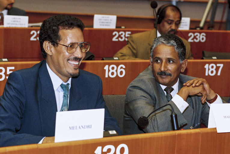 Fotografi 49: 17th session of the EEC-ACP Joint Assembly