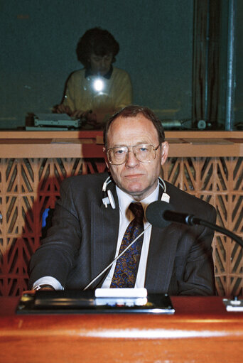 Plenary session in Strasbourg