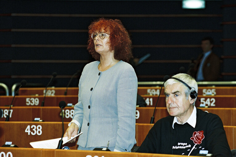 Plenary session in Brussels