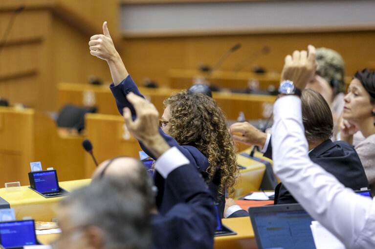 Billede 5: Plenary Session week 38 2015 in Brussels: Resumption of session and order of business. Votes