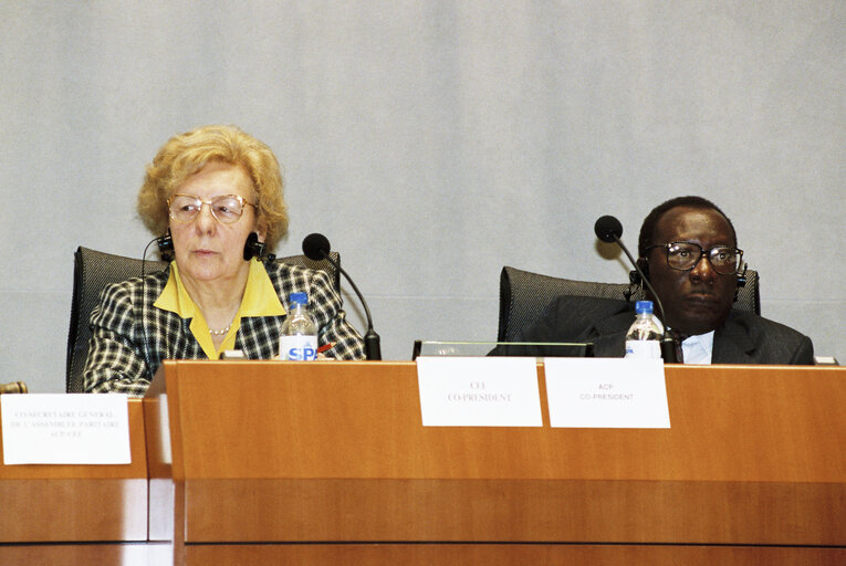 Nuotrauka 4: 17th session of the EEC-ACP Joint Assembly