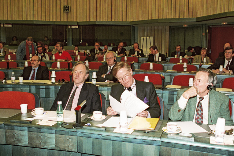 Valokuva 3: Meeting at the European Parliament in Brussels