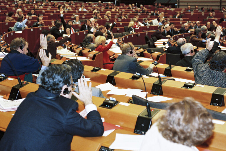 Plenary session in Brussels