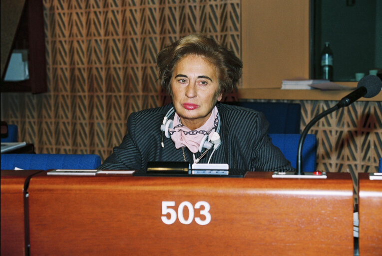 Plenary session in Strasbourg