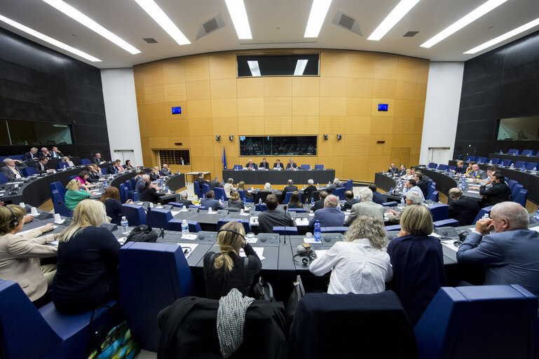 Fotografia 11: Session of the Paneuropean Working Group of the European People's Party on ' History and Culture: a matter of conflict or of relation? '