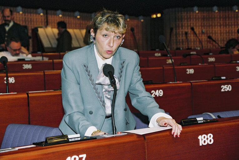 Plenary session in Strasbourg