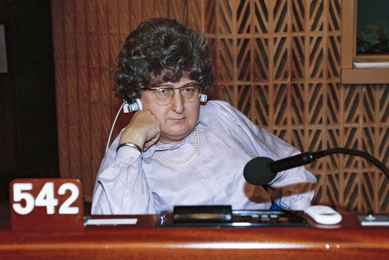 Plenary session in Strasbourg