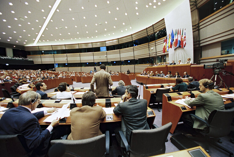 Plenary session in Brussels