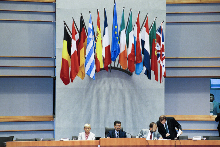 Plenary session in Brussels