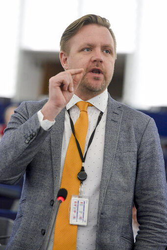 Fotografia 16: Plenary session week 14 2017 in Strasbourg - International Roma Day - Oral questions