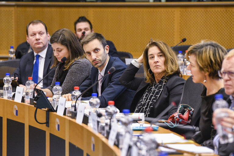 Fotografija 10: REGI extraordinary meeting on ' The Future of Cohesion policy after 2020 '