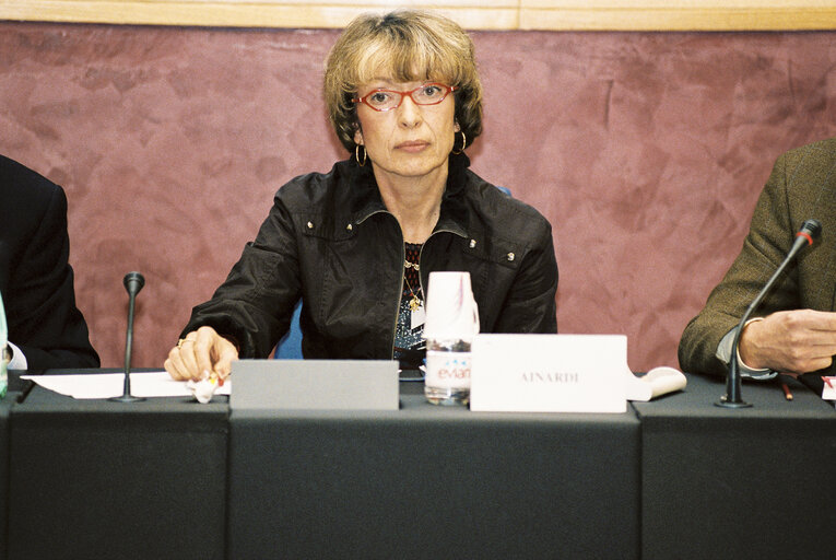 Meeting at the European Parliament in Strasbourg