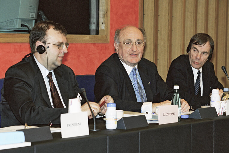 Meeting at the European Parliament in Strasbourg