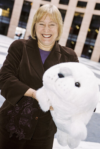 Action  Support to Baby Seals