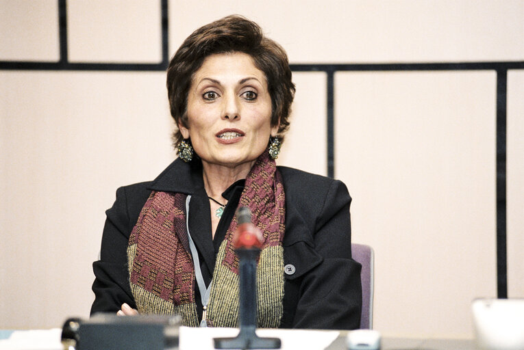 Meeting at the European Parliament in Strasbourg