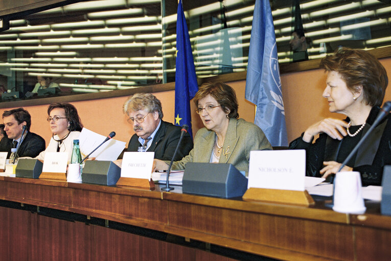 Photo 3 : AFET Committee Meeting with United Nations Deputy Secretary General