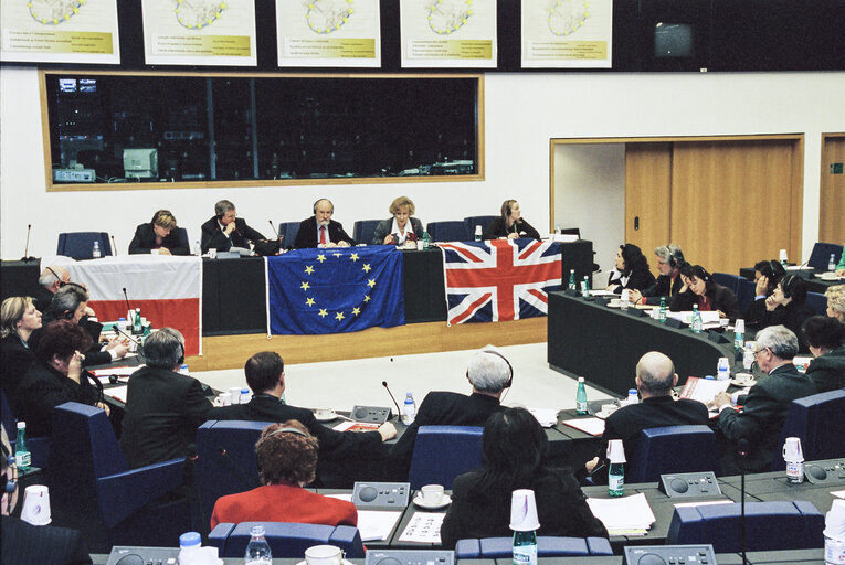 Photo 1: UK-Poland Meeting at the European Parliament in Strasbourg