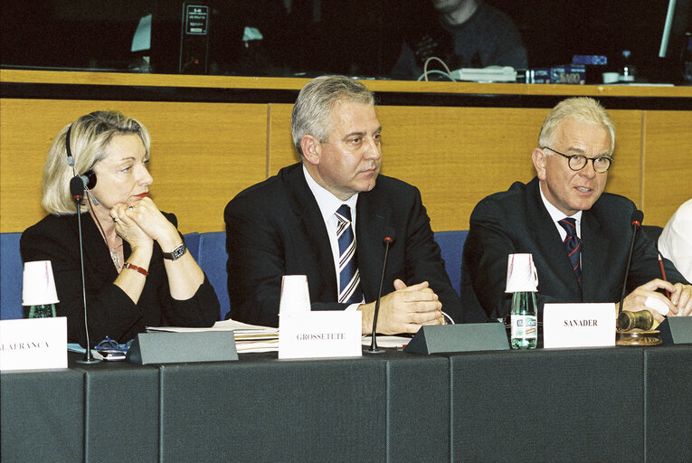 Billede 2: Meeting at the European Parliament in Strasbourg with Prime Minister of Croatia