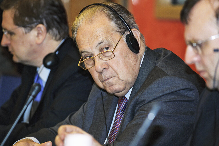 Φωτογραφία 9: Meeting at the European Parliament in Strasbourg