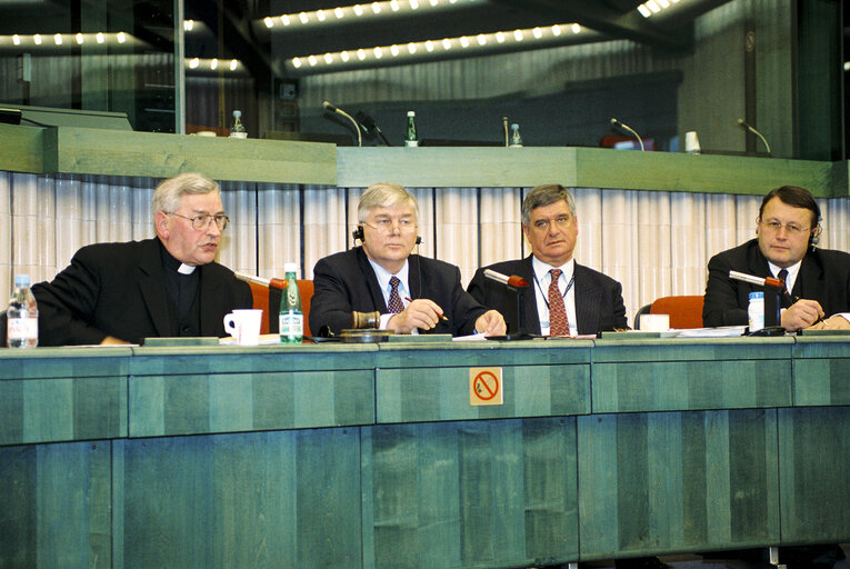 Φωτογραφία 6: Meeting at the European Parliament in Strasbourg