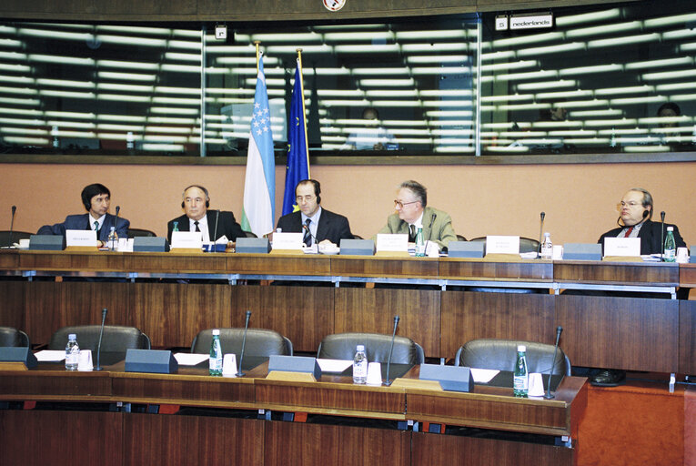 Foto 2: EU-Uzbekistan Meeting at the European Parliament in Strasbourg