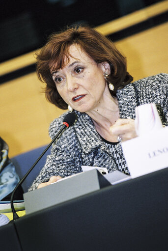 Foto 3: Meeting at the European Parliament in Strasbourg with French Minister Delegate for European Affairs