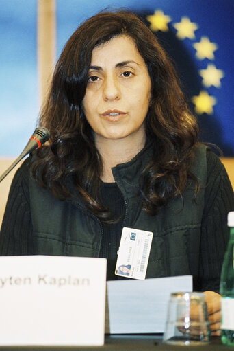 Fotografie 6: Press conference in Strasbourg on the Kurdish Issue