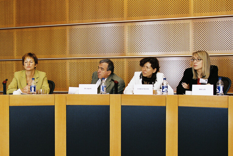 Fotografie 12: Meeting with representatives of accessing countries