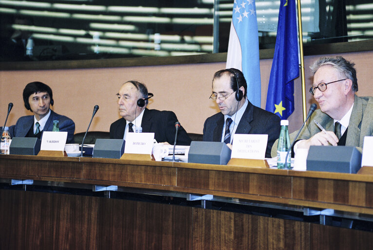 Foto 4: EU-Uzbekistan Meeting at the European Parliament in Strasbourg