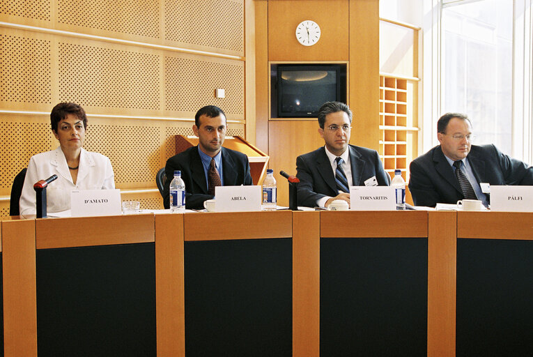 Fotografie 13: Meeting with representatives of accessing countries