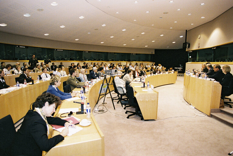 Fotagrafa 4: Conference : European public opinion and the 2004 European Parliament elections