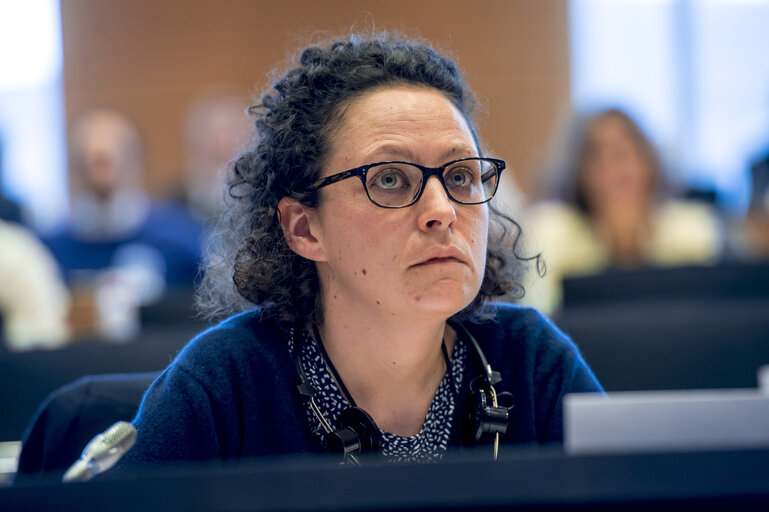 Foto 13: PETI/ENVI Joint Public Hearing on the ' Impact of Endocrine Disruptors on Public Health and the Environment '