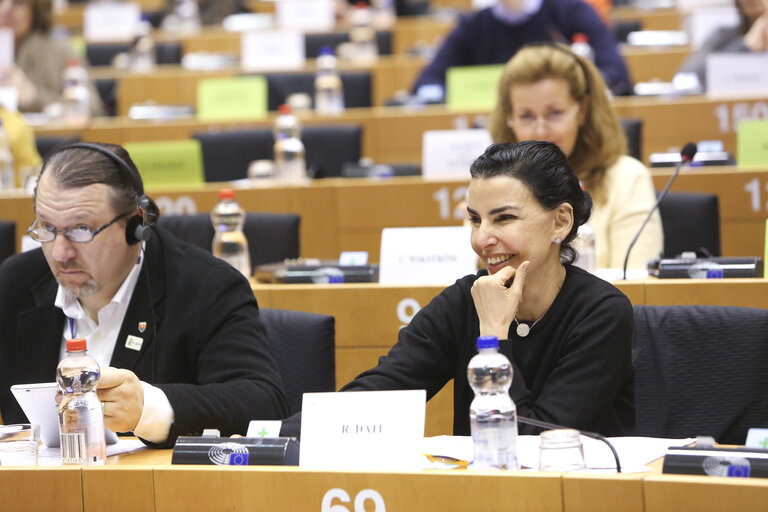 Fotografia 10: LIBE committee meeting. Vote on Media pluralism and media freedom in the European Union.