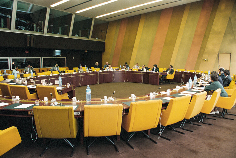 Foto 4: Meeting at the European Parliament in Strasbourg