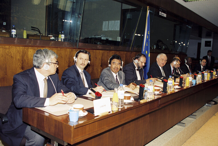 Fotografie 16: Meeting of the Delegation for relations with the Republics of former Yugoslavia