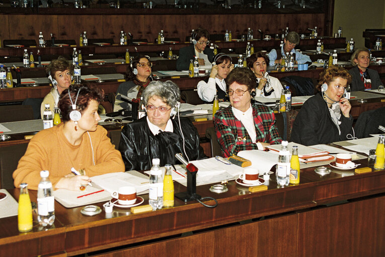 Photo 2: FEMM Committee Meeting at the European Parliament in Brussels