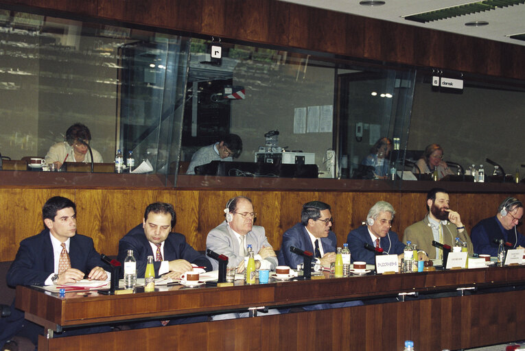 Meeting at the EP in Brussels