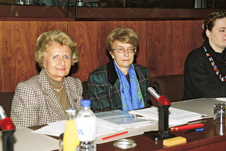 Photo 3: FEMM Committee Meeting at the European Parliament in Brussels