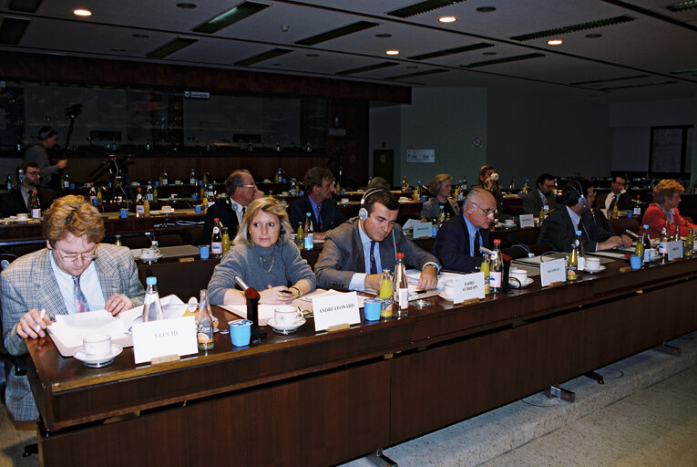 Fotografia 3: EU-Burundi Parliamentary Meeting