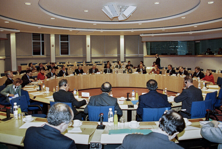 Fotografie 5: Meeting with the Speakers of the National Parliaments