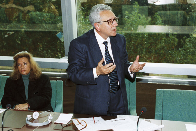 Fotografia 5: Italian MEPS meet with guests