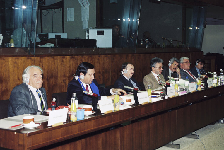 Nuotrauka 10: Meeting at the EP in Brussels