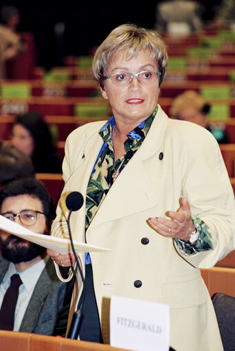 Nuotrauka 38: Conference on Local Authorities at the EP in Brussels in april 1994.