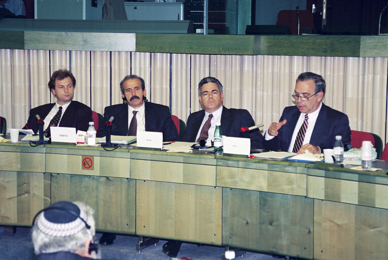 Fotagrafa 5: Meeting of the EP delegation for relations with Israel