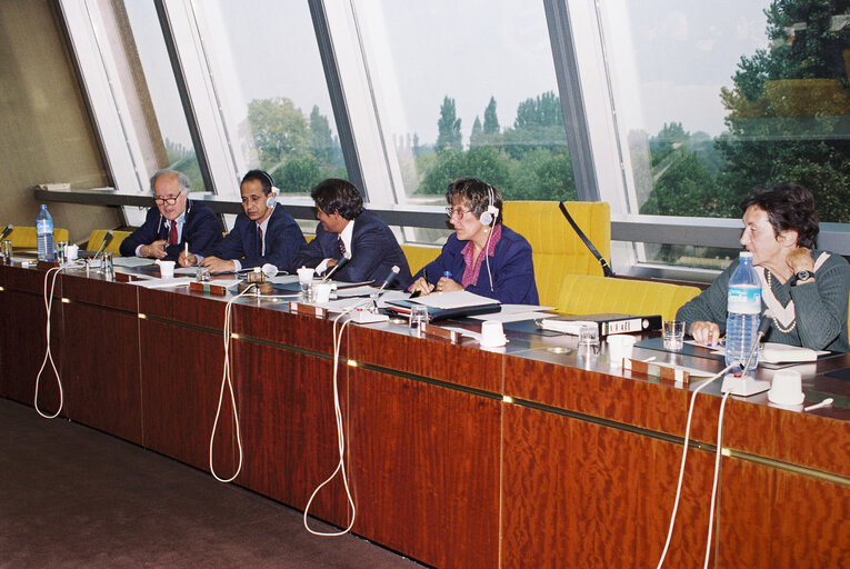 Foto 5: Meeting at the European Parliament in Strasbourg