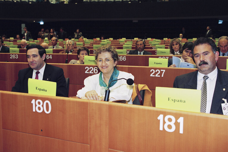 Nuotrauka 42: Conference on Local Authorities at the EP in Brussels in april 1994.