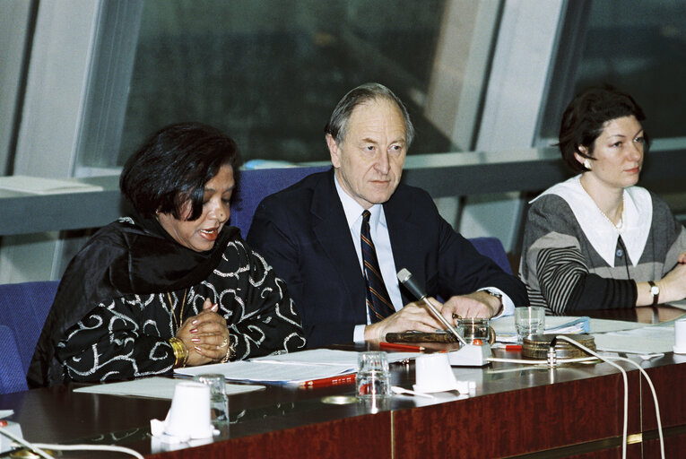 Meeting presided by MEP Christopher M. JACKSON in Strasbourg