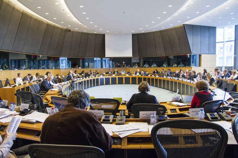 Fotografija 11: DEVE Committee meeting on ' Humanitarian response to the earthquake in Nepal '