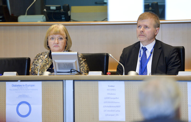 Foto 6: EU Diabetes Working Group:  Diabetes in Europe: The State we are in Key priorities for the European Institutions