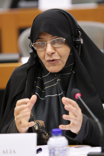Nuotrauka 2: EU delegation for relations with Iran meet with Iranian Delegation at the EP in Brussels